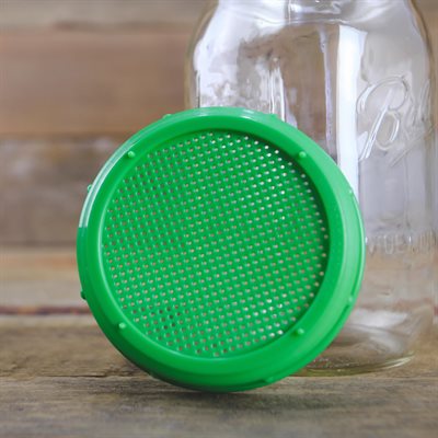 Handy Pantry Jar Sprout Lid 