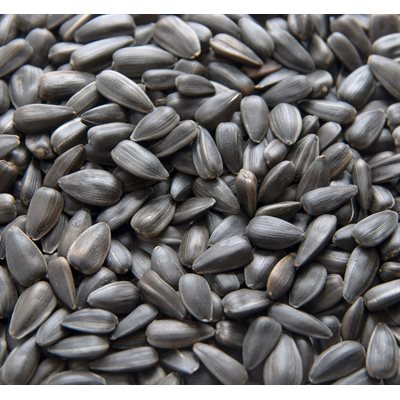 Mumm's Certified Organic Unhulled Sunflower Seeds 150gr